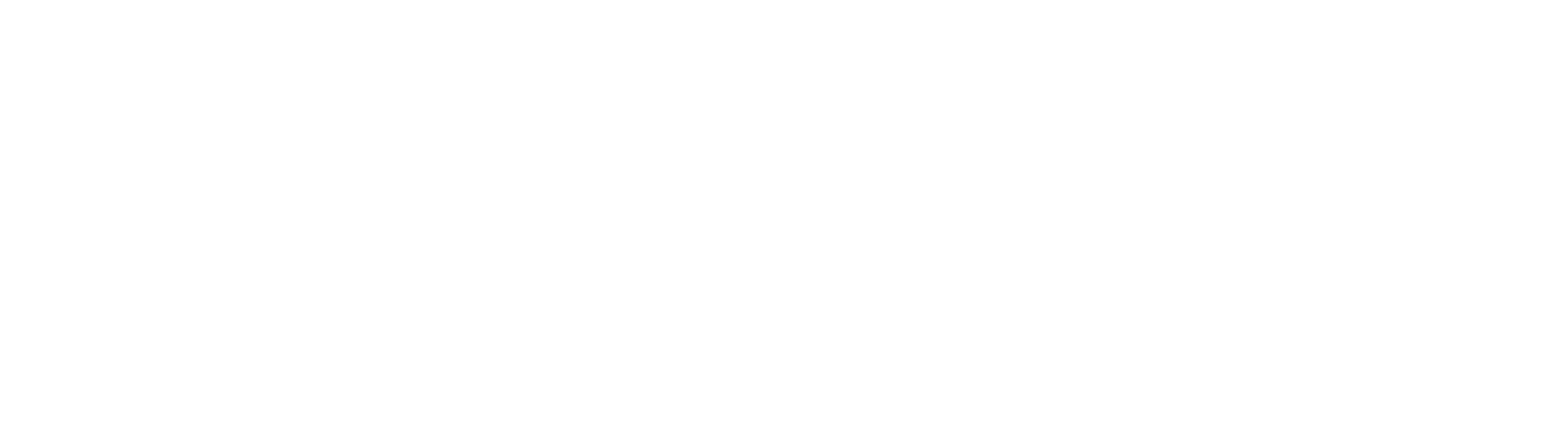 Sammen om forspranget hvit