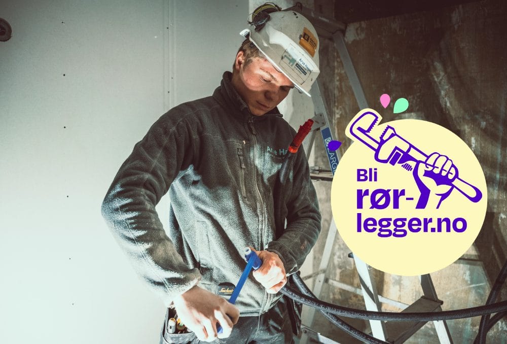 Rornorge blirorlegger illustrasjon 2